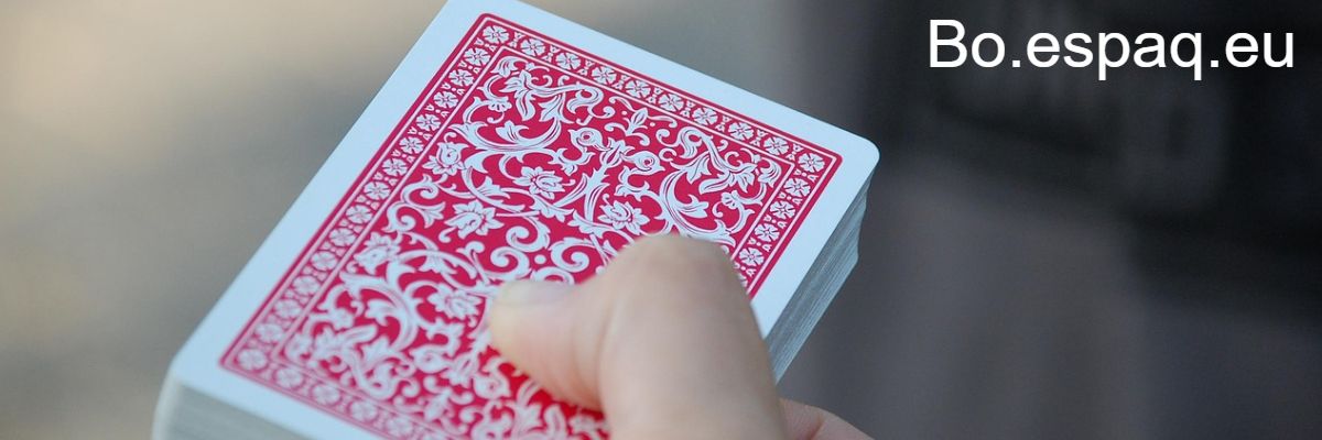 bo.espaq.eu bo.espaq.eu